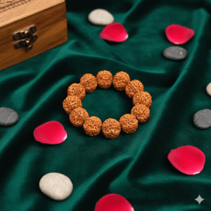 Big Size Beads 6 Mukhi Rudraksha Bracelet(6 मुखी रुद्राक्ष ब्रेसलेट)