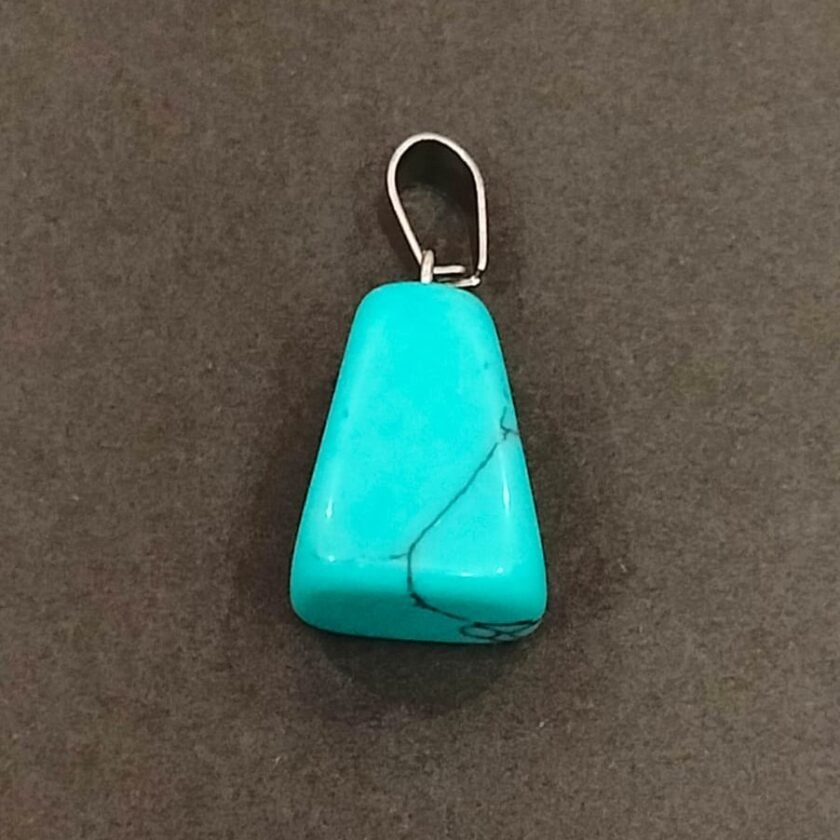 Natural Tortoise Stone Locket
