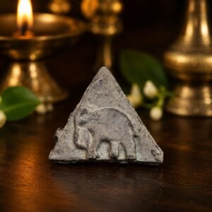ranga-metal-coin-rahudoshnivaran-jyotishshop