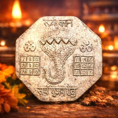 Very Rare Sarp Yog Rudra Yantra in Raanga Metal for Rahu Ketu Dosha Nivaran & Protection(रुद्रा यंत्र रांगा), Size 6x6 cm, Weight 68.50 g