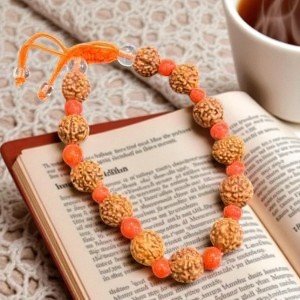 Coral Rudraksha Bracelet (कोरल रुद्राक्ष ब्रेसलेट)