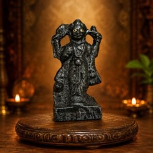 iron-loheki-shanidev-murti-medium-jyotishshop