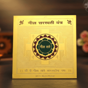 neel saraswati yantra