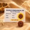 9-mukhi-rudraksha-jyotishshop