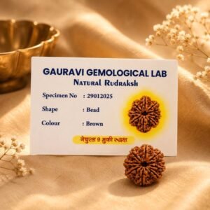 9-mukhi-rudraksha-jyotishshop