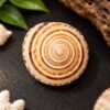 natural-siddh-vishnu-chakra-jyotishshop