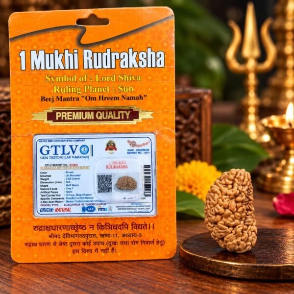 1-mukhi-rudraksha-bead-jyotishshop